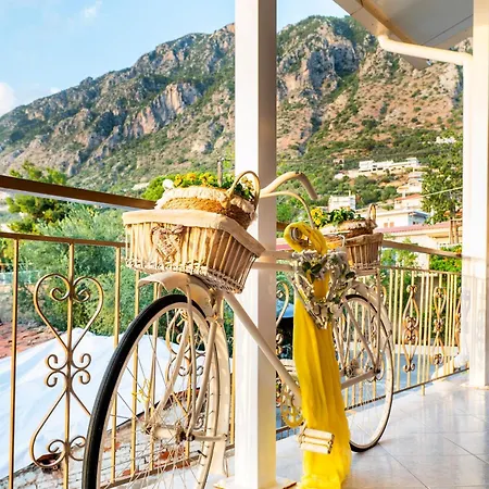 Armonia Apartment
